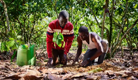 The hidden fragility of food safety — and the urgency to reinvent the system