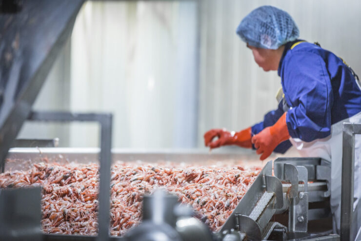 Prawn processing