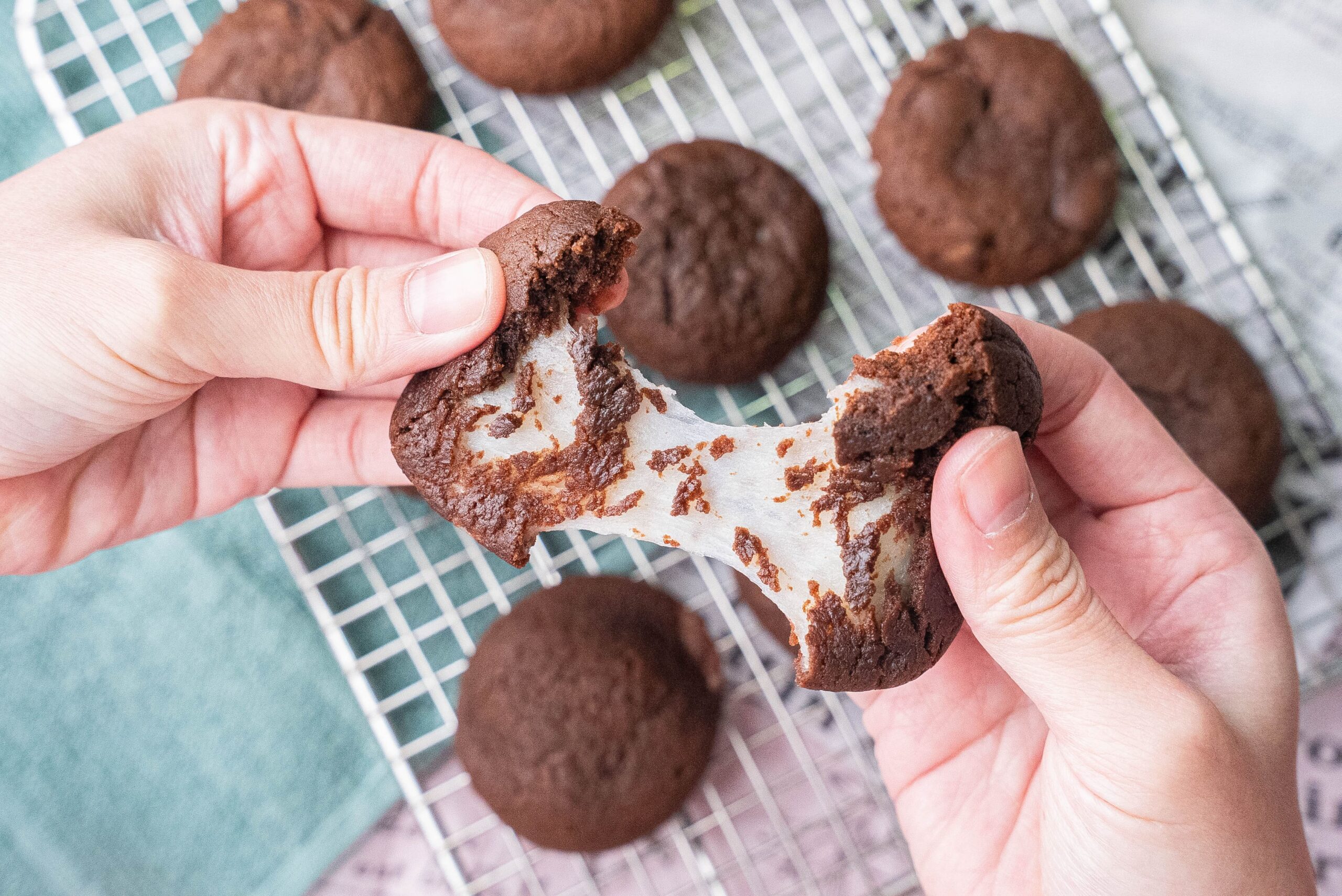 Ingredion at Fi Asia Thailand 2025