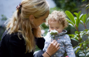 Healthy growth and immunity