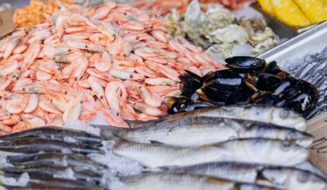 Model Seafood Welfare Standard