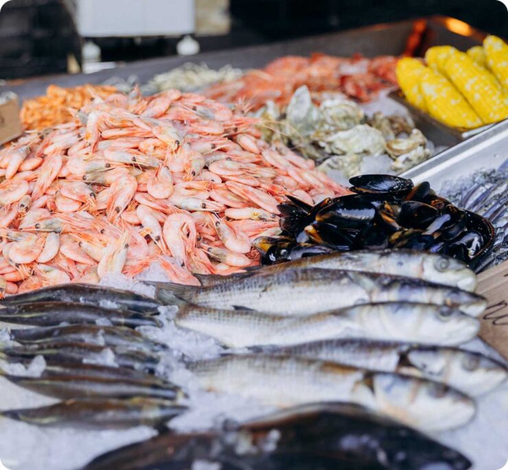 Model Seafood Welfare Standard