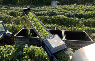 online storefront for magnetic separation and material handling equipment