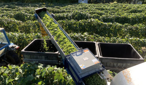 online storefront for magnetic separation and material handling equipment