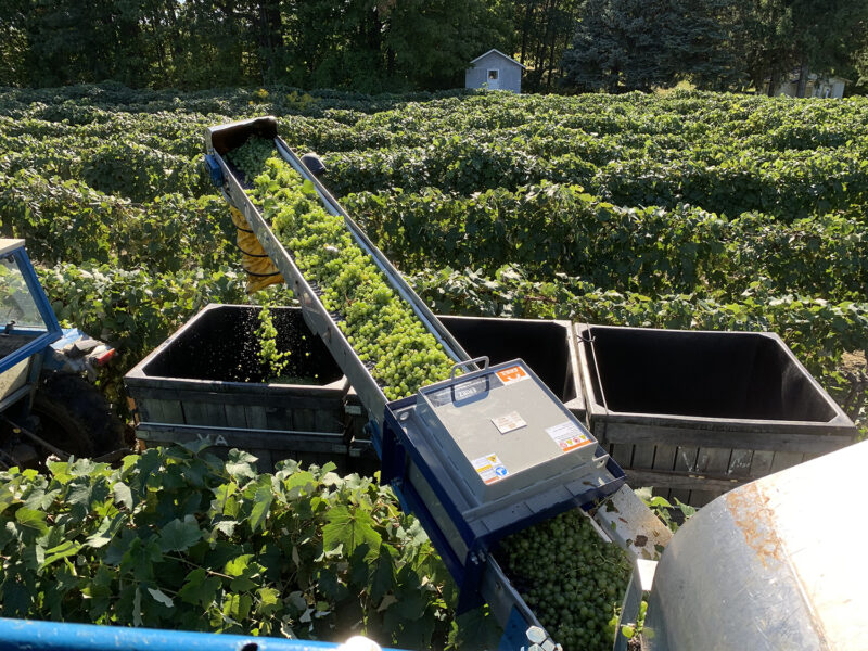 online storefront for magnetic separation and material handling equipment