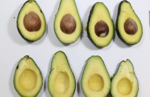 Westfalia Fruit and AgroSustain