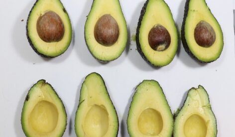 Westfalia Fruit and AgroSustain