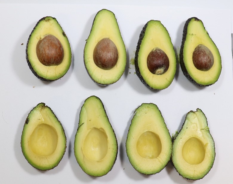 Westfalia Fruit and AgroSustain