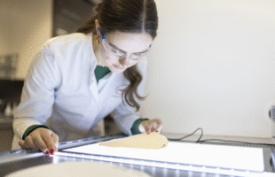 sustainable packaging solution