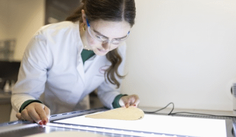 sustainable packaging solution